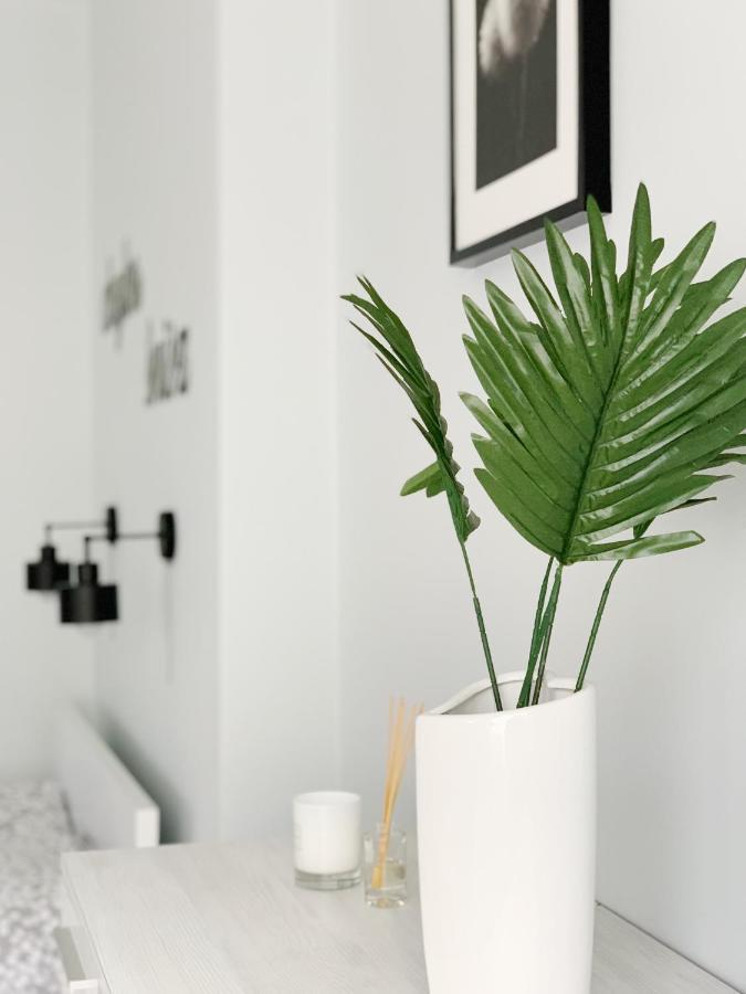 Apartament Chyba Snisz Łańcut מראה חיצוני תמונה